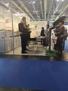 การแสดงนิทรรศการ