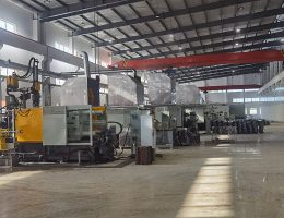 การประชุมเชิงปฏิบัติการหล่อตาย