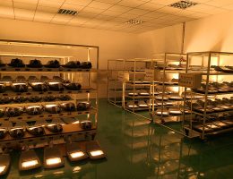 การทดสอบเก่า