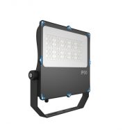 ฟลัดไลท์-เฮ้าส์ซิ่ง